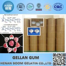 Favorable price pharmacy grade bp low acyl gellan gum for white sugar